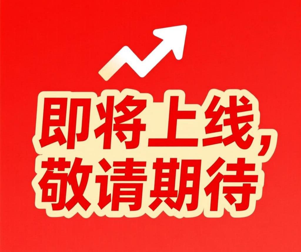 档案袋